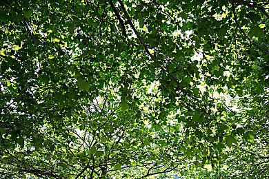 《战地6》单人模式“格拉迪乌斯行动”15分钟实机