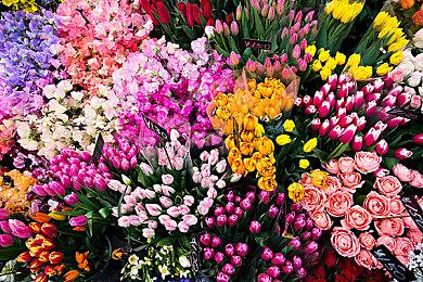 《金刚狼》早期实机泄露 钢爪攀爬等核心玩法