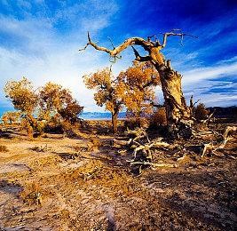 恐怖新游《Gore Doctor》上架steam 逃离邪恶医生